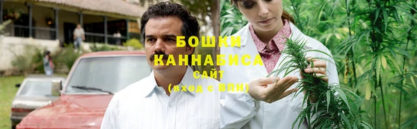 тгк Вяземский