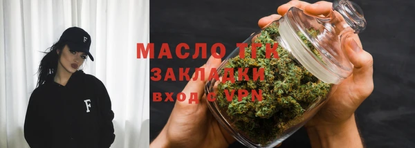 тгк Вяземский