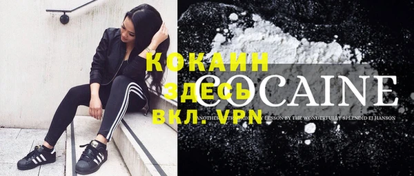 тгк Вяземский