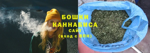 тгк Вяземский